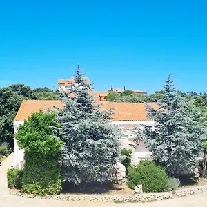 Dom wakacyjny Lavender House, Mandre