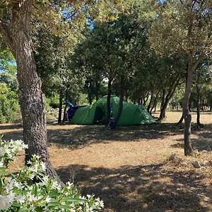 Camping Sugar Campsite